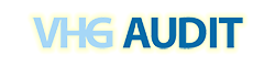 VHG Audit Logo